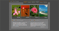 Desktop Screenshot of georgeperina.com