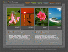 Tablet Screenshot of georgeperina.com